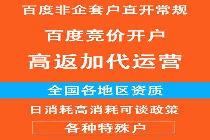 百度推广成功之路：从零到一的实战案例记录